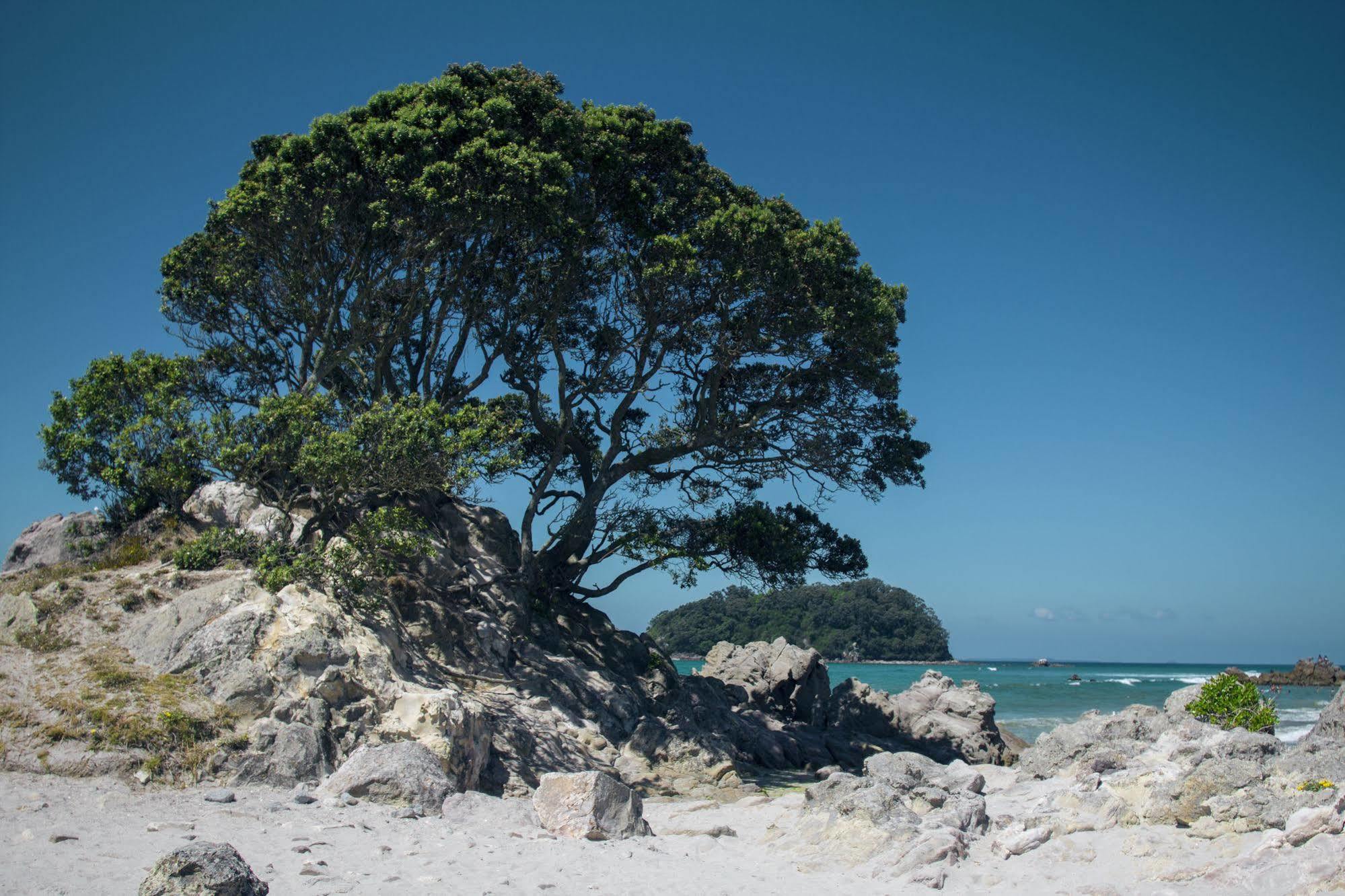 Oceanside Resort & Twin Towers Mount Maunganui Luaran gambar